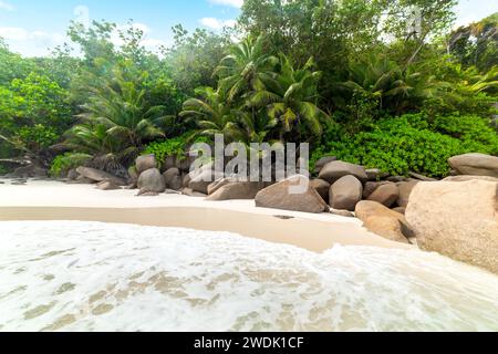 Rocce e palme nella famosa spiaggia di Anse Georgette nell'isola di Praslin, Seychelles Foto Stock