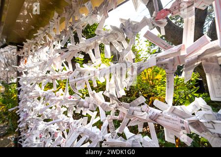 Tokyo, Giappone. Gennaio 2024. I fogli Omikuji che prevedono il proprio futuro annodati all'esterno del tempio buddista Kiyomizu Kannon-do nel centro della città Foto Stock