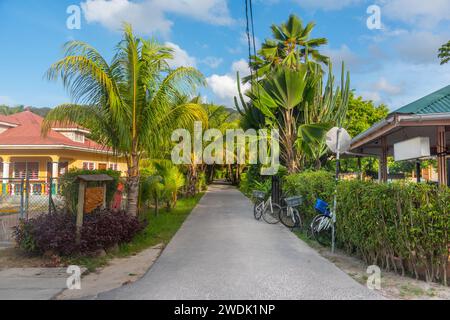 Strada stretta a la Digue sotto un cielo blu, Seychelles Foto Stock