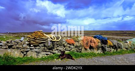 Attrezzatura da pesca e cane da pecora, su un muro di pietra a secco a Inishmore, Isole Aran, Contea di Galway, Irlanda Foto Stock