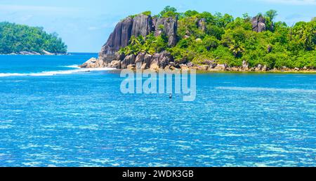 Barriera corallina ad Anse l'Islette sull'isola di Mahe, Seychelles Foto Stock