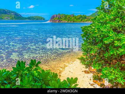 Barriera corallina ad Anse l'islette. Isola di Mahe, Seychelles Foto Stock