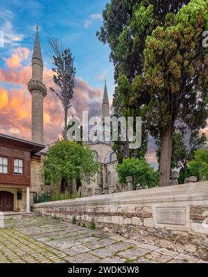 La Moschea Atik valide del XVI secolo, circondata da alti alberi lussureggianti, si trova nel quartiere di Uskudar, Istanbul, Turchia. La foto cattura la bellezza dell'architettura della moschea, con i suoi imponenti minareti Foto Stock