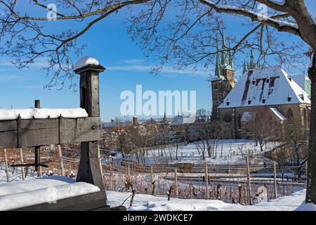 Dalla collina di Petersberg si può ammirare la vista dei vigneti innevati della chiesa severi e della cattedrale di Erfurt Foto Stock