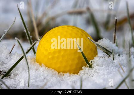 Primo piano di una pallina da golf gialla nella neve Foto Stock