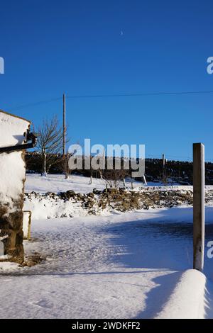 Gennaio e la mattina dopo un'improvvisa caduta di neve mentre la luna pende in un cielo azzurro. Nidderdale. North Yorkshire. Foto Stock