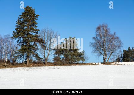 Paesaggio montuoso boemo e moravo, vista panoramica invernale, paesaggio innevato vicino alla città di Velke Mezirici, repubblica ceca Foto Stock