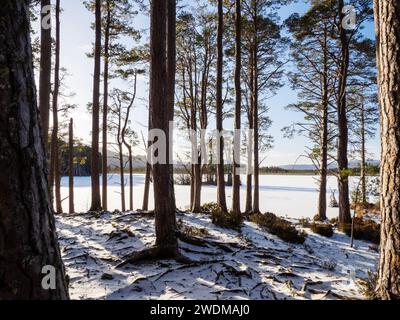 Neve che poggia sul ghiaccio su un Loch Mallachie ghiacciato a Cairngorms, Scozia, Regno Unito Foto Stock