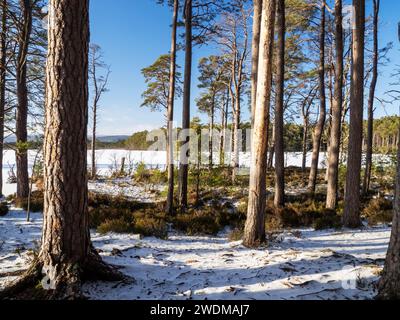 Neve che poggia sul ghiaccio su un Loch Mallachie ghiacciato a Cairngorms, Scozia, Regno Unito Foto Stock