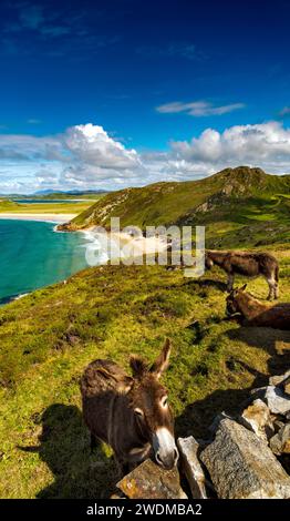 Tranarossan Beach a Melmore Head, Downings, Contea di Donegal, Irlanda Foto Stock