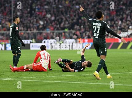 Monaco, Germania. 21 gennaio 2024. Calcio, Bundesliga, FC Bayern Monaco - Werder Bremen, Matchday 18, Allianz Arena. Leroy sane di Bayern (2° da sinistra) e Jens Stage di Brema sul terreno dopo un duello. NOTA IMPORTANTE: In conformità alle norme della DFL German Football League e della DFB German Football Association, è vietato utilizzare o far utilizzare fotografie scattate nello stadio e/o della partita sotto forma di immagini sequenziali e/o di serie di foto simili a video. Crediti: Lukas Barth/dpa/Alamy Live News Foto Stock