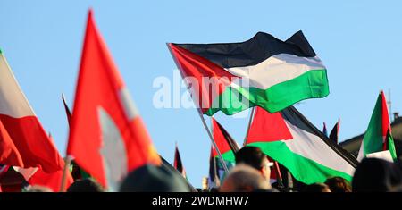 sventolando bandiere palestinesi con i manifestanti durante una manifestazione pacifica per la pace Foto Stock