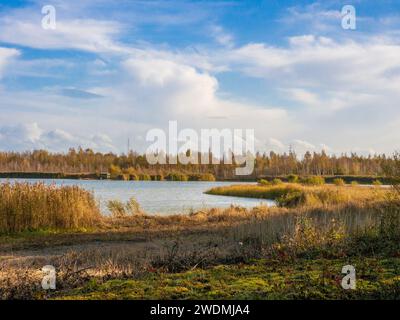 Colori autunnali sugli alberi a Newmans Flashes, Wincham, Cheshire, Regno Unito Foto Stock