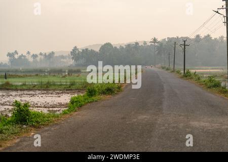 Una strada panoramica di campagna fiancheggiata da aste telefoniche Foto Stock