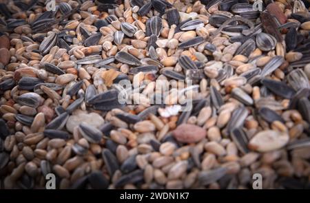 Miscela di alimenti per uccelli da tavola, telaio completo Foto Stock