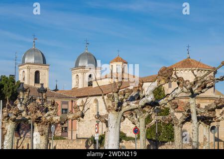 Chiesa di Santa María nella città di Briviesca, provincia di Burgos, Spagna. Foto Stock