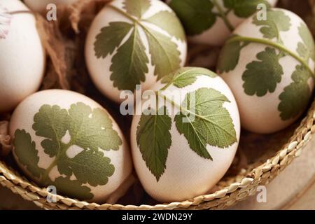 Uova di Pasqua bianche con foglie fresche attaccate con vecchie calze, pronte per essere tinte con bucce di cipolla Foto Stock