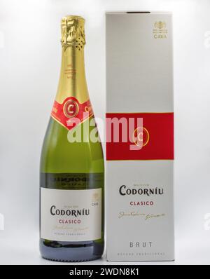 Kiev, Ucraina - 3 settembre 2022: Studio fotografico di Codorniu Clasico Luxury brut spumante cava bottiglia di vino spumante e primo piano della scatola contro il bianco. Foto Stock