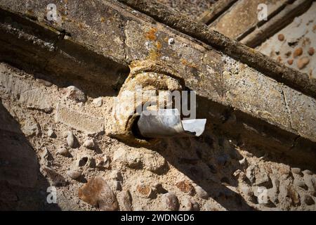 Gargoyle con beccuccio d'acqua presso la chiesa di Santa Maria Maddalena a Hilton, Cambridgeshire Foto Stock