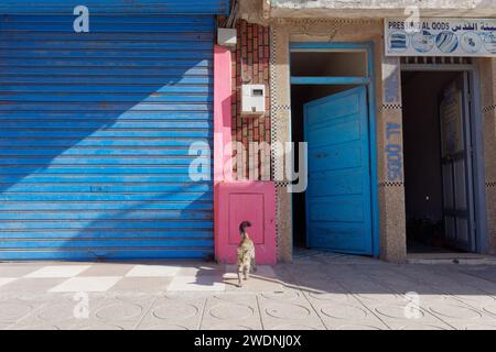 Gatto su un marciapiede con porta blu e garage e una scatola rosa a Essaouira, Marocco, 21 gennaio 2024 Foto Stock