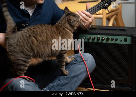 uomo latino che impara a suonare bassi elettrici con il suo gatto Foto Stock