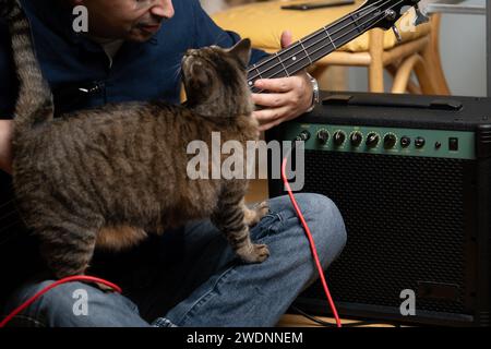 uomo latino che impara a suonare bassi elettrici mentre interagisce con il suo gatto Foto Stock