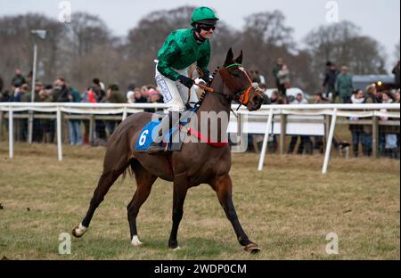 La Mini Fortune e il fantino James King vincono la gara a 7 anni e oltre le Maiden Race all'Heythrop Hunt P2P a Cocklebarrow. Credito immagini equine JTW / Alamy. Foto Stock