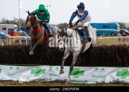 La Mini Fortune e il fantino James King vincono la gara a 7 anni e oltre le Maiden Race all'Heythrop Hunt P2P a Cocklebarrow. Credito immagini equine JTW / Alamy. Foto Stock