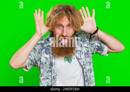 Divertente comico giocoso giovane barbuto che fa stupide espressioni facciali e grigi, ingannando a mostrare lingua, espressione idiota. Ragazzo isolato su sfondo cromatico verde. Lo stile di vita delle persone Foto Stock