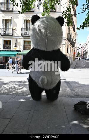 The Back of a panda Street performer nel centro di madrid – Madrid, Spagna – 24 maggio 2023 Foto Stock