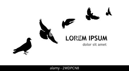 Stormi di piccioni volanti isolati su sfondo bianco. I piccioni sono a terra. disegno manuale. Non ai, illustrazione vettoriale Illustrazione Vettoriale