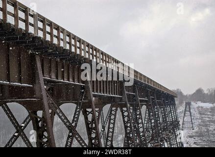 Vista del ponte ferroviario distrutto durante l'inverno al Kinzua Bridge State Park in Pennsylvania, Stati Uniti Foto Stock