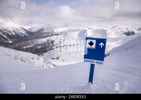 Splendida casa di montagna in una scena invernale, nevicate, meraviglie invernali, neve coperta, cabina. 4K 24 FPS Foto Stock