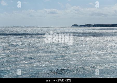 Paesaggio costiero roccioso e Ocean's Fury a Phillip Island, Victoria Foto Stock