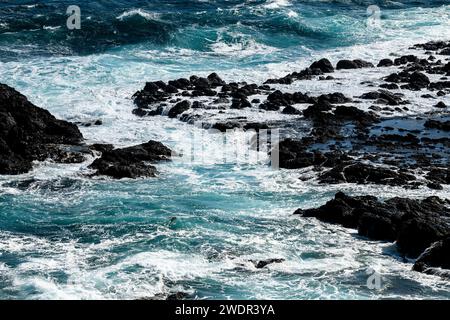 Paesaggio costiero roccioso e Ocean's Fury a Phillip Island, Victoria Foto Stock