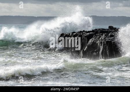 Paesaggio costiero roccioso e Ocean's Fury a Phillip Island, Victoria Foto Stock