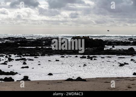 Paesaggio costiero roccioso e Ocean's Fury a Phillip Island, Victoria Foto Stock