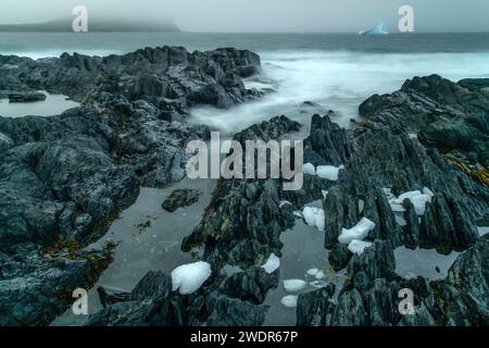 Canada, Maritimes, Terranova, Saint Lunaire-Griquet, White Cape Harbour, iceberg, Foto Stock