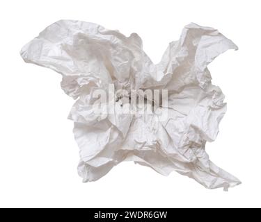 Il salviettino o la carta salviettina a vite o schiacciata in una forma strana dopo l'uso in bagno o toilette è isolato su sfondo bianco con percorso di ritaglio Foto Stock
