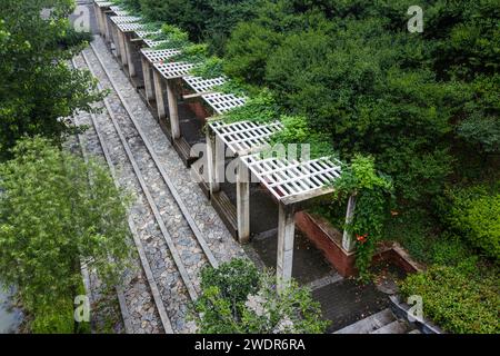 Un corridoio di pietra con scale circondato da alberi verdi Foto Stock