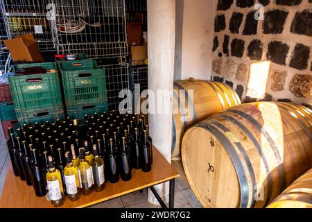 Botti di vino e bottiglie di vino prodotto in una produzione vinicola nella cantina Midin Şarapçılık, Turchia sud-orientale Foto Stock