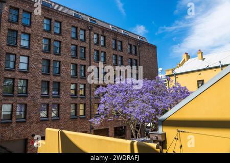 The Rocks: Quartiere turistico storico di Sydney e del porto Foto Stock