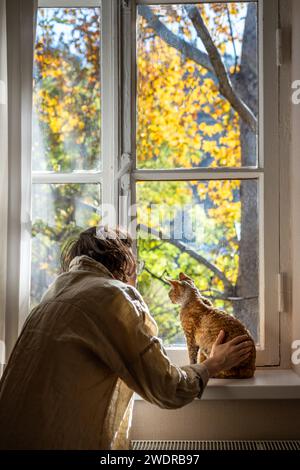 Il gatto di razza dai capelli corti Devon Rex e l'amorevole proprietario di animali domestici che guarda la strada autunnale attraverso la finestra Foto Stock