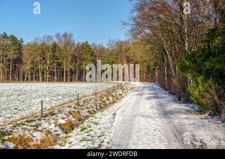 Strada coperta di neve ai margini di una foresta vicino ad Achel, in Belgio, in una giornata di sole d'inverno Foto Stock