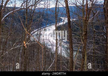 Il Bouchoux Trail vicino a Long Eddy NY è un percorso escursionistico di 5,5 km che abbraccia il fiume Delaware, fotografato sotto pochi centimetri di neve durante l'inverno Foto Stock