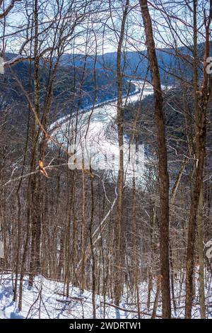 Il Bouchoux Trail vicino a Long Eddy NY è un percorso escursionistico di 5,5 km che abbraccia il fiume Delaware, fotografato sotto pochi centimetri di neve durante l'inverno Foto Stock