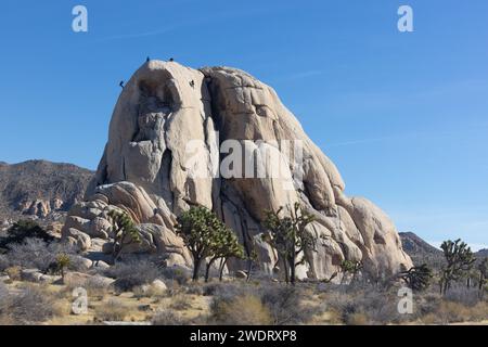 Arrampicatori nel Joshua Tree National Park, California, Stati Uniti Foto Stock
