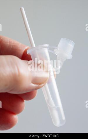 Londra, Regno Unito, 22 gennaio 2024: Un tampone per un test covid in una provetta di soluzione tampone di estrazione, in preparazione per un test Flowflex per coronavirus a casa. Anna Foto Stock
