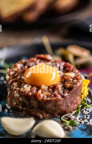 Tartare di manzo con tuorlo d'uovo su un piatto con aglio e pane tostato. Foto Stock