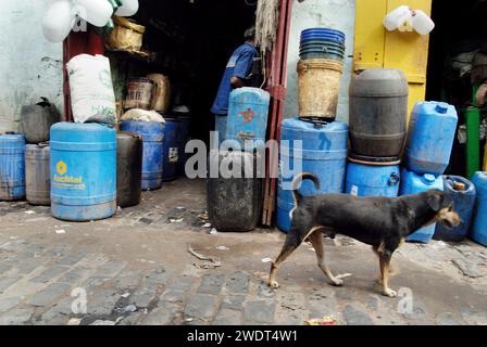 I cani muoiono a causa del cattivo ambiente. Questa è la triste realtà dei cani randagi che vivono vicino a Park Circus nel centro di Calcutta, che muoiono ogni giorno a causa dell'inquinamento industriale causato dalle fabbriche di cuoio. Secondo un rapporto del National Environmental Engineering Research Institute, la presenza di concia a base di cromo tra le concerie di Calcutta, con sistemi di drenaggio e raccolta delle acque reflue inadeguati, stava causando seri problemi ambientali, sanitari e igienici. Diverse unità funzionano ancora illegalmente nell'area del circo Tangra & char Number Park. Calcutta, Bengala Occidentale, India. Foto Stock